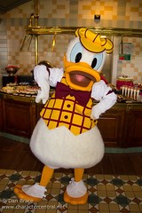 Donald Duck