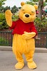 Winnie the Pooh