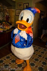 Donald Duck