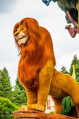 Simba