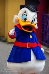 Scrooge McDuck