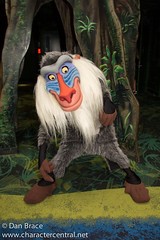 Rafiki