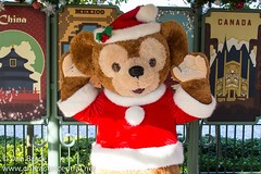 Duffy the Disney Bear