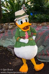 Donald Duck