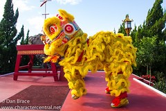 Chinese Lion Dancers