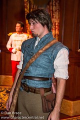 Flynn Rider