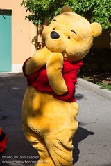 Winnie the Pooh