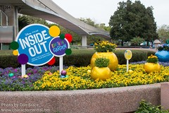 Inside Out Emotion Garden