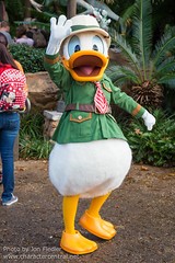 Donald Duck