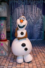 Olaf (Inside Olaf's Snow Fest)
