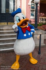 Donald Duck