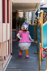 Daisy Duck (VISA Meet 'n' Greet)