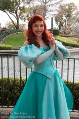 Ariel (Random)