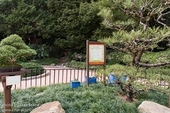 Japanese Mini Garden
