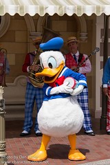 Donald Duck