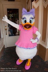 Daisy Duck