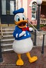 Donald Duck