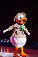 Donald Duck