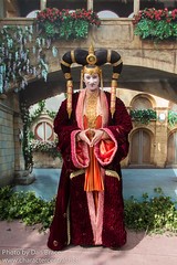 Queen Amidala