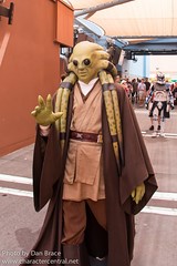 Kit Fisto