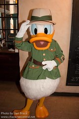 Donald Duck