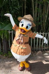 Daisy Duck