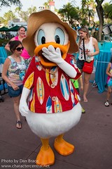 Donald Duck