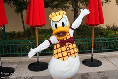 Donald Duck