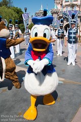 Donald Duck