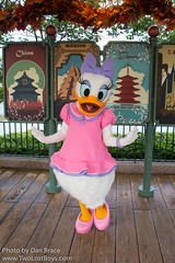 Daisy Duck