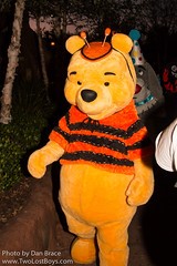 Winnie the Pooh (Fantasyland)