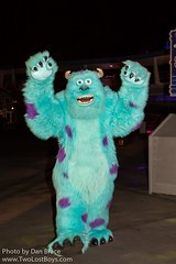 Sulley