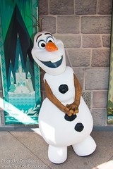 Olaf