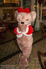 ShellieMay, The Disney Bear