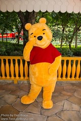 Winnie the Pooh