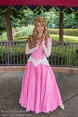 Princess Aurora (Random)