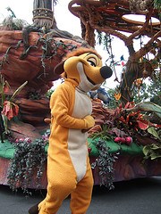 Timon