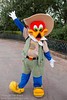 Woody Woodpecker