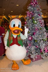 Donald Duck