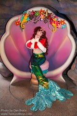 Ariel