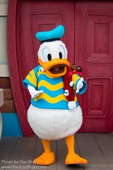 Donald Duck