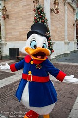 Scrooge McDuck