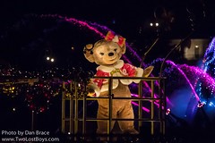 ShellieMay, The Disney Bear