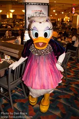 Daisy Duck