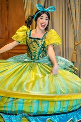 Drizella