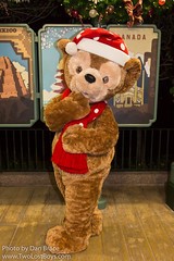 Duffy the Disney Bear