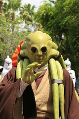 Kit Fisto