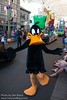 Daffy Duck