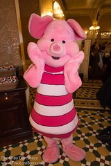 Piglet