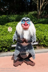 Rafiki